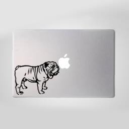 English Bulldog Decal Pet Shop Vinyl Wall Art Sticker - thumbnail 3