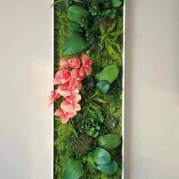 Orchid Wall Art, Faux Succulent Moss Decor, Large Preserved White/Black/Gold Frames - thumbnail 3