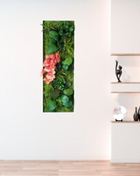 Orchid Wall Art, Faux Succulent Moss Decor, Large Preserved White/Black/Gold Frames - thumbnail 1
