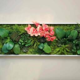 Orchid Wall Art, Faux Succulent Moss Decor, Large Preserved White/Black/Gold Frames - thumbnail 2