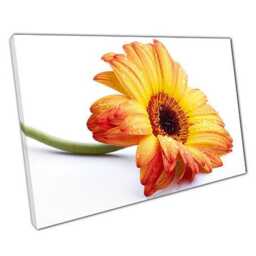 Vibrant Sunflower Canvas Print Ready-To-Hang Wall Art For Home & Office Decor - thumbnail 1