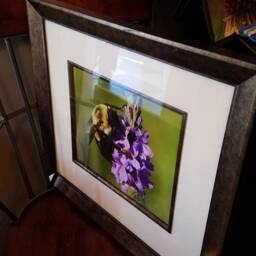 Bee Loving His Flower Framed Print - thumbnail 2