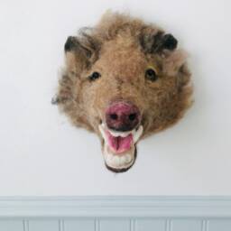 Needle Felted Javelina Wall Mount - Faux Taxidermy Peccary Ooak Wildlife Decor - thumbnail 4