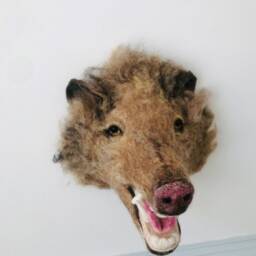 Needle Felted Javelina Wall Mount - Faux Taxidermy Peccary Ooak Wildlife Decor - thumbnail 3