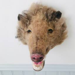 Needle Felted Javelina Wall Mount - Faux Taxidermy Peccary Ooak Wildlife Decor - thumbnail 2