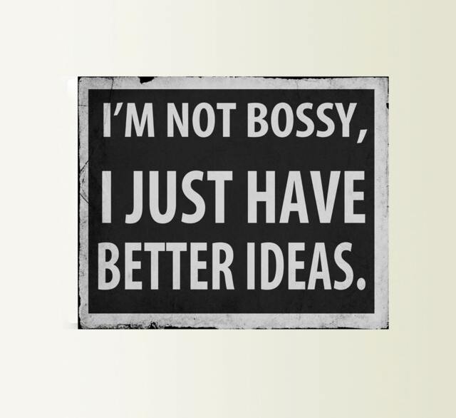 I'm Not Bossy I Just Have Better Ideas Art Typograhy Inspirational Quote Metal Wall Fine Prints, Sign Tin