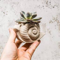 Handmade Concrete Snail Planter Whimsical Home Decor - thumbnail 2
