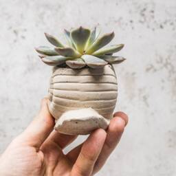 Handmade Concrete Snail Planter Whimsical Home Decor - thumbnail 3