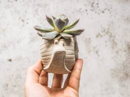 Handmade Concrete Snail Planter Whimsical Home Decor