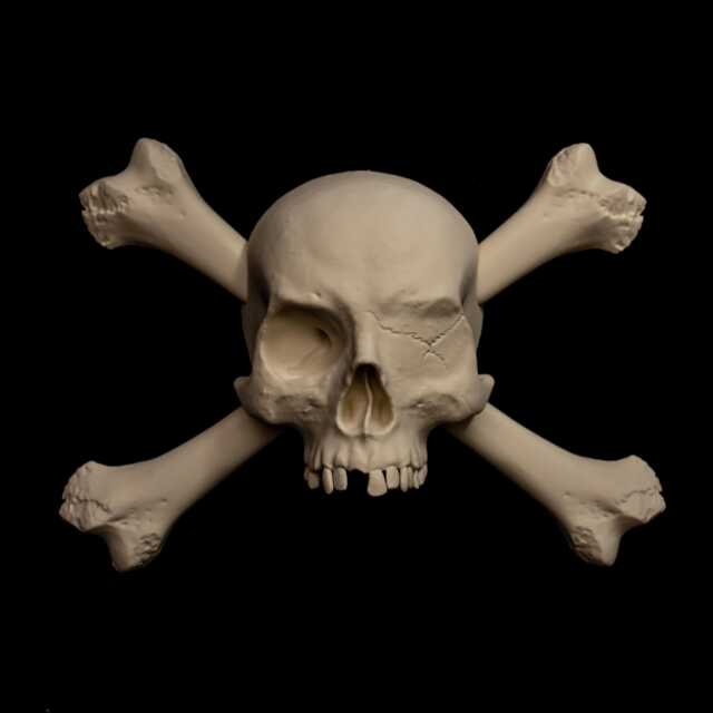 Pirate Skull Crossbones Wall Hanger, Gothic Nautical Decor, Art, Treasure Hunter Oddity - image 1