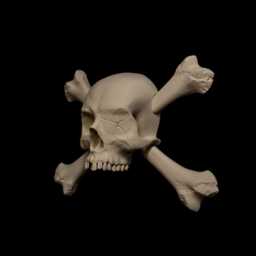 Pirate Skull Crossbones Wall Hanger, Gothic Nautical Decor, Art, Treasure Hunter Oddity - thumbnail 3