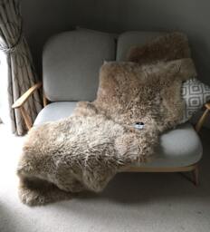 Deep Oyster Australian Sheepskin Rug, Taupe Curly Throw - 70 X 200 - thumbnail 1