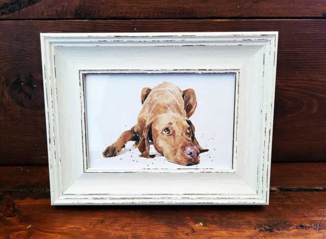 Vizsla Print 17x12cm - White Rustic Frame - Hungarian Pointer Wall Art, Gift For Owners - image 1