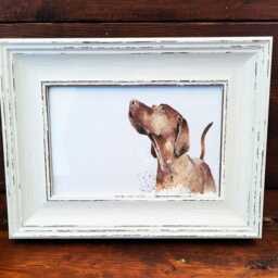Vizsla Print 17x12cm - White Rustic Frame - Hungarian Pointer Wall Art, Gift For Owners - thumbnail 3