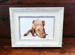 Vizsla Print 17x12cm - White Rustic Frame - Hungarian Pointer Wall Art, Gift For Owners