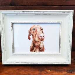 Vizsla Print 17x12cm - White Rustic Frame - Hungarian Pointer Wall Art, Gift For Owners - thumbnail 2