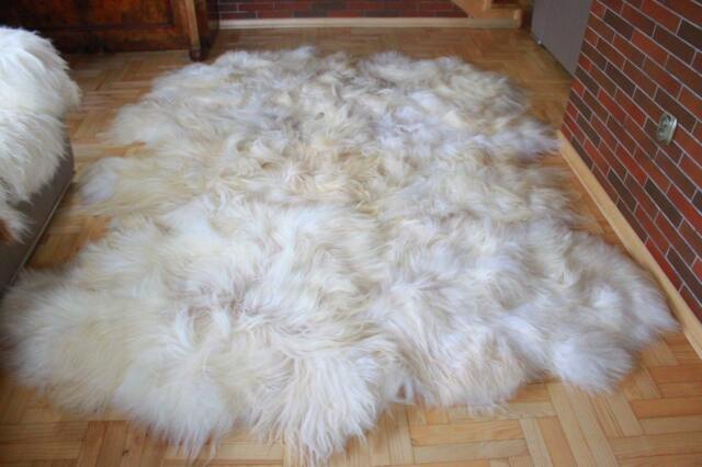 On Sale Exclusive Genuine Natural Rare Icelandic Sheepskin Rug, Pelt, Soft Long Fur Xxxxxl Extra Large Super - Octo - image 1