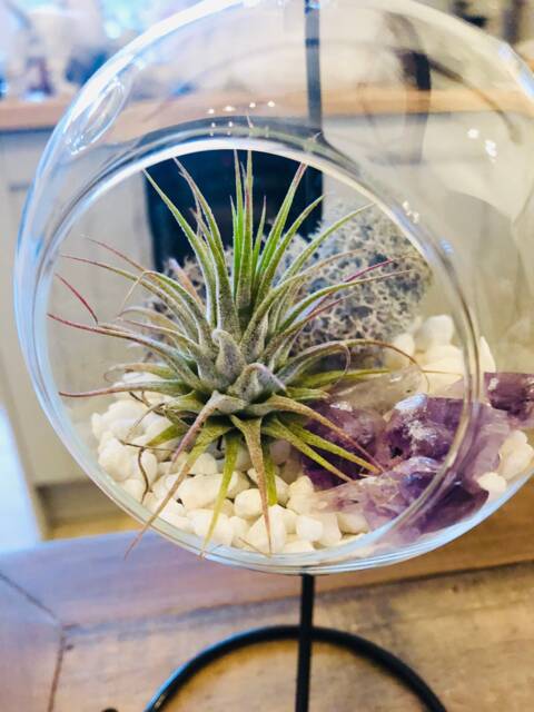 Diy Terrarium Air Plant Kit, Amethyst Crystal Stone in Glass Terrarium. Precious Stone, Indoor Gift. Birth Stone. Hanging - image 1