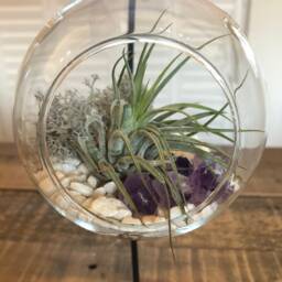 Diy Terrarium Air Plant Kit, Amethyst Crystal Stone in Glass Terrarium. Precious Stone, Indoor Gift. Birth Stone. Hanging - thumbnail 2