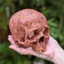Human Skull - Warning With Gauged Eyes Fleshy Blood & Gruesome, Resin, Halloween Haunted House Horror Prop, 4.4 Inches Wide, Gothic Decor - thumbnail 1