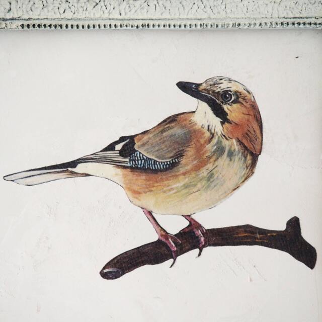 Jay Bird Wall Sticker Home Decor Hand Painted - image 1