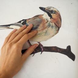 Jay Bird Wall Sticker Home Decor Hand Painted - thumbnail 3