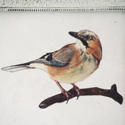 Jay Bird Wall Sticker Home Decor Hand Painted - thumbnail 1