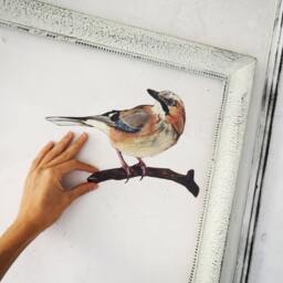 Jay Bird Wall Sticker Home Decor Hand Painted - thumbnail 4