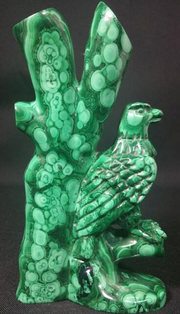Malachite Eagle On A Tree - image 1