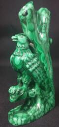 Malachite Eagle On A Tree - thumbnail 3