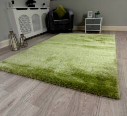 New Plush Green Thick Silky Soft Shag Pile Rug Modern Luxurious High Quality Mats