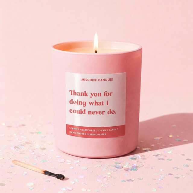 Funny School Staff Thank You Gift For Doing What I Could Never Do Scented Candle - image 1