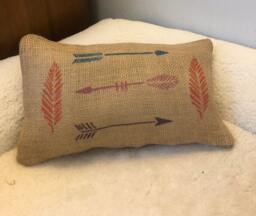 Feathers/Arrows Pillow - thumbnail 1
