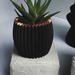 Indoor Planter - Black & Copper House Plants - thumbnail 3