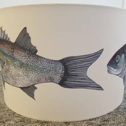 Handmade Cornish Sea Bass Drum Lampshade Coastal Nautical Decor - thumbnail 3
