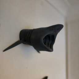 Basking Shark Wall Art - Animal Mount- 3D Printed - thumbnail 3