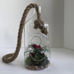 Hanging Glass Vase With Artificial Grass Succulent & A Purple Butterfly - thumbnail 2