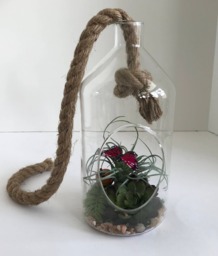 Hanging Glass Vase With Artificial Grass Succulent & A Purple Butterfly - thumbnail 1