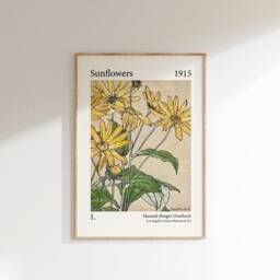 Hannah Borger Overbeck Sunflowers Print, Unframed, A1/A2/A3/A4/A5, Botanical Sunflowers, Colourful Sunflower Wall Art - thumbnail 2