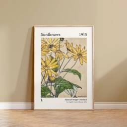 Hannah Borger Overbeck Sunflowers Print, Unframed, A1/A2/A3/A4/A5, Botanical Sunflowers, Colourful Sunflower Wall Art - thumbnail 3