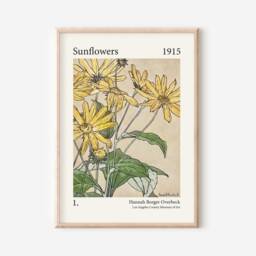 Hannah Borger Overbeck Sunflowers Print, Unframed, A1/A2/A3/A4/A5, Botanical Sunflowers, Colourful Sunflower Wall Art - thumbnail 1