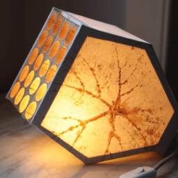 Minimalist Table Lamp Handcrafted With Portuguese Natural Materials Cork & Cotton Paper. Sustainable Lighting Design. Cork Furniture - thumbnail 2
