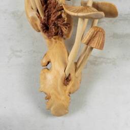 Mushrooms Wall Hanging, Statue, Art, Wood Carving, Sculpture, Handmade Decor, Fungi Unique Exotic, Gift For Mom - thumbnail 4