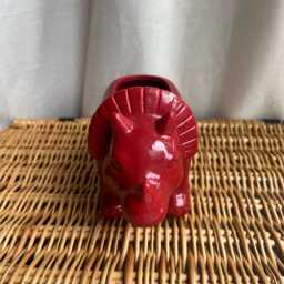 Red Dinosaur Planter Succulent Plant Pot Triceratops - thumbnail 2