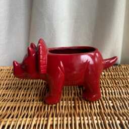 Red Dinosaur Planter Succulent Plant Pot Triceratops - thumbnail 1