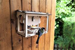 Diy Wall Mounted Bird Feeder Kit With Small Seed Hopper