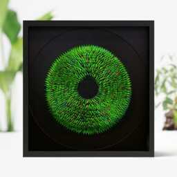 xl Framed Jewel Beetle Wing Elytra Mosaic Art - Luxury Insect Wall Decor, Iridescent Natural Specimen Artwork, 75x75cm Statement Piece
