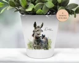 Personalised Cheeky Donkey Plant Pot - Makeup Brush/Pen Holder Teacher's Gift - thumbnail 1