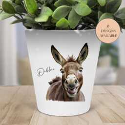 Personalised Cheeky Donkey Plant Pot - Makeup Brush/Pen Holder Teacher's Gift - thumbnail 2