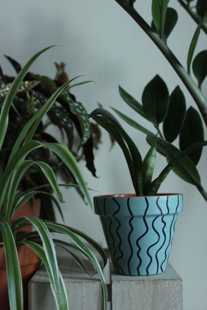 Hand Painted Terracotta Plant Pot For Houseplants - Customisable With Drainage & Saucers To Match Great Gift Idea - image 1